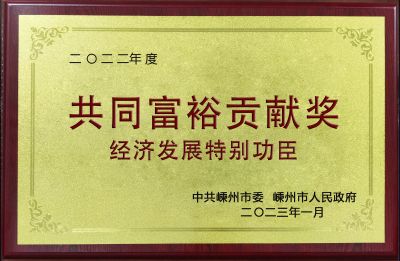 2022年度共同富裕貢獻(xiàn)獎(jiǎng)積極發(fā)展特別功臣