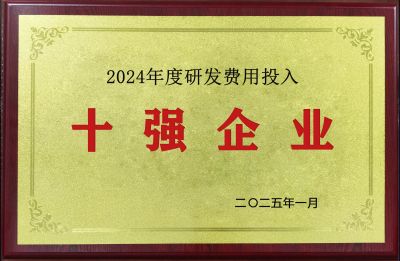 2024年度研發(fā)費(fèi)用投入十強(qiáng)企業(yè)